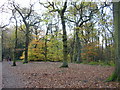 Autumn Colours in Hirst Wood