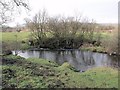 Shawend Burn weir