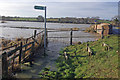 River Cherwell in flood