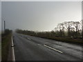 An empty main road