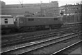 Class 86 number 86024 at Euston Station