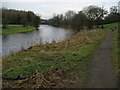 Ribble Way beside the River Ribble