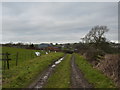 Track to Hallcliff Farm, Wadshelf