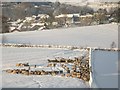 Sheep on snowy pastures in the sun above Allendale Town