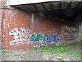 Graffiti under northern span, St Werburgh