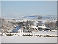 Shilburn in the snow