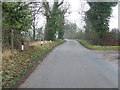 Footpath And Road