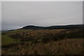 Looking across moorland to the Forest of Ae