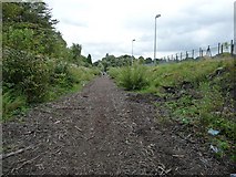 SJ8293 : Disused railway line south east of Chorlton Junction by Phil Champion