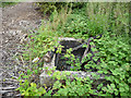 Concrete structure alongside disused railway line