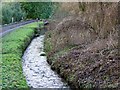 Stream, Chilmark