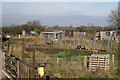 Cubbington allotments