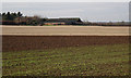 SP3369 : Cubbington Heath Farm from the east by Robin Stott