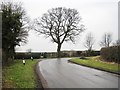 Road approaching Great Busby