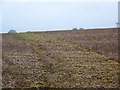 Stubble near Dean Hill