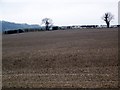 Stubble near West Dean