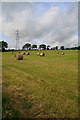 Hay bales near Washingdales