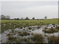 SJ7163 : Waterlogged Field By Tetton Lane by Peter Whatley