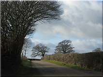 SS8021 : Quiet road near Nutcombe Farm by Sarah Charlesworth