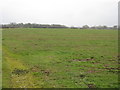 Fields Near Daisybank Farm