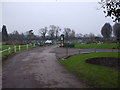 South Rise allotments, Llanishen, Cardiff