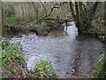 The Nant Fawr near Llanishen reservoir