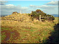 SW7723 : Round barrow on Roskruge Beacon by Rod Allday