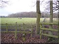 Stile near Brissenden Green Lane