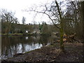 Houses by New Bridge, Calver