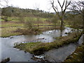 Stoke Brook overflowing its banks