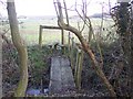 Footbridge and stile in Mayshaves Wood