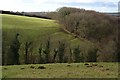 Valley, Pasture and Woodland