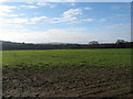 View across open grass field