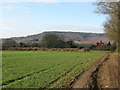 Upper Diddlesfold Farmhouse