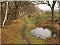 Path on Stoborough Heath