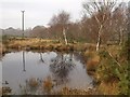 Pool on Stoborough Heath