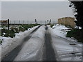 Northern end of Wayborough Hill near junction with A299