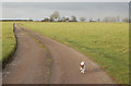 Looking northwest along the track to Calcutt House Farm