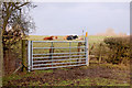 Bridleway gate near Calcutt Spinney