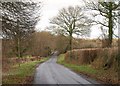 Lane near Clayhidon