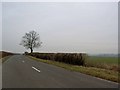 Peter Hall lane, near Ansty