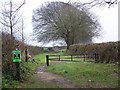 Bridleway, Kingston Lacy