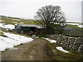 Pennine Way at Tennant Gill Farm