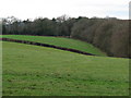 View west across hillside