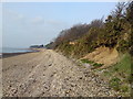 Southampton Water Eastern Shoreline at Netley