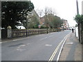 Winter trees in the High Street