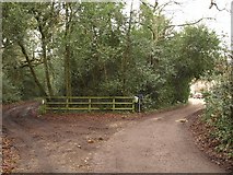 SY9288 : Path past North Bestwall House by Derek Harper