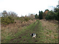 Gt Yarmouth to St Olaves railway - Bradwell