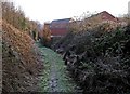 Footpath to Timber Lane