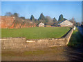 Walled garden at Bromesberrow Nurseries